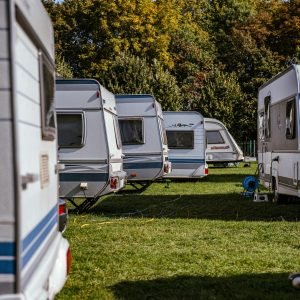A picturesque camping site with multiple camper vans set against a backdrop of lush trees.